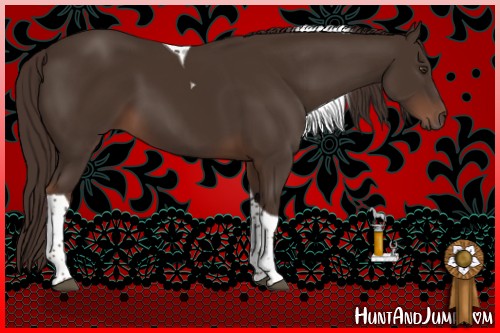 Horse Color:Liver Chestnut Tobiano 