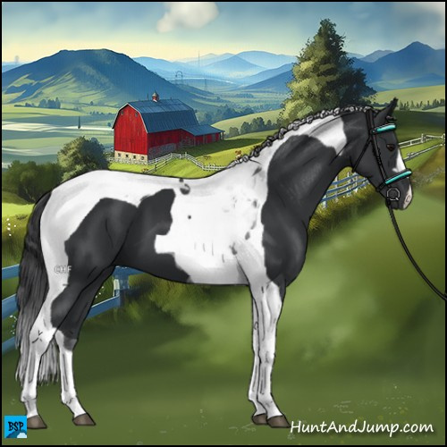 Horse Color:Black Tobiano 