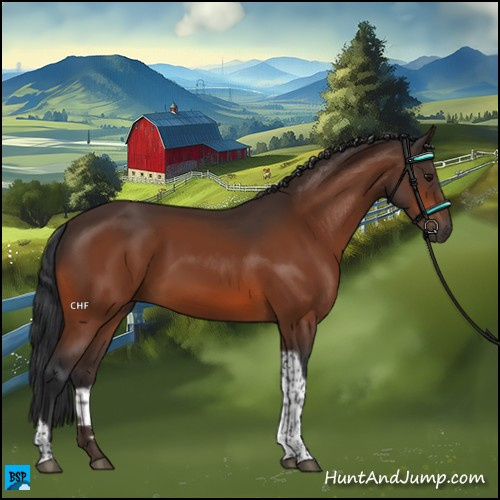 Horse Color:Bay Tobiano 