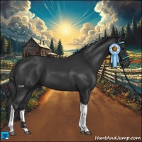 Horse Color:Black Tobiano 