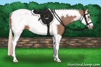 Horse Color:Chestnut Splash Tobiano Frame 