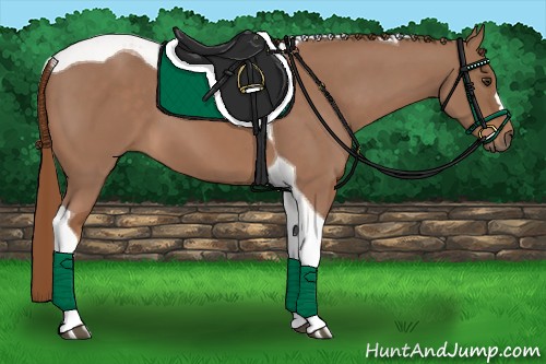 Horse Color:Chestnut Tobiano 