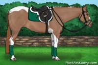 Horse Color:Chestnut Tobiano 