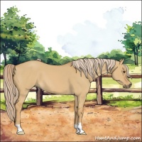 Horse Color:Palomino Dun 