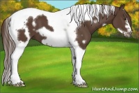 Horse Color:White Spotted Liver Chestnut Tobiano Frame 