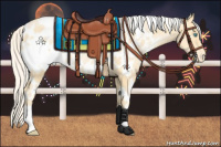 Horse Color:White Spotted Palomino Pearl Appaloosa