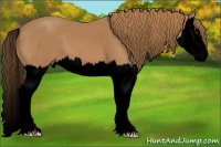 Horse Color:Void Chestnut Splash 