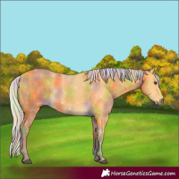 Horse Color:Nacre Silver Buckskin 