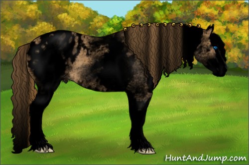 Horse Color:Void White Spotted Chestnut Splash Appaloosa 