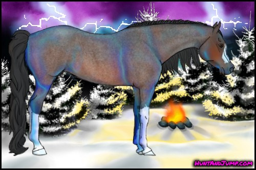 Horse Color:Brown Roan 