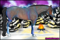 Horse Color:Brown Roan