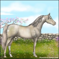 Horse Color:White Spotted Chocolate Palomino Pearl Mushroom