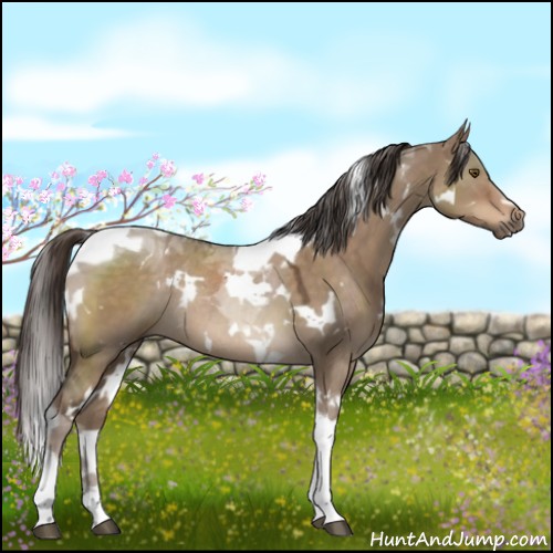 Horse Color:White Spotted Liver Red Dun Tobiano Rabicano