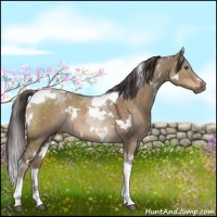 Horse Color:White Spotted Liver Red Dun Tobiano Rabicano