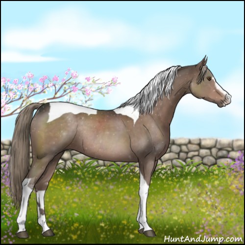 Horse Color:Liver Chestnut Sabino Tobiano Rabicano