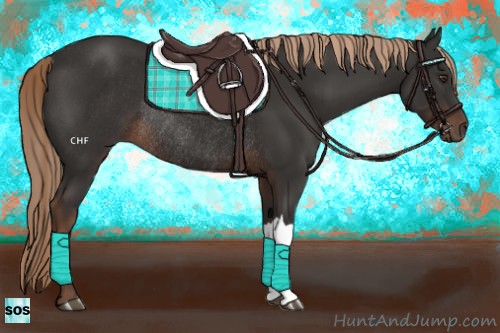 Horse Color:Liver Chestnut Rabicano 