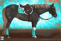 Horse Color:Liver Chestnut Rabicano 