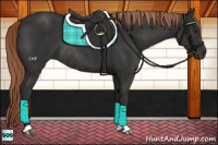 Horse Color:Liver Chestnut Rabicano 