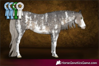 Horse Color:Silver Smoky Black Sabino 