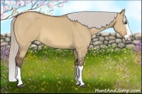 Horse Color:Silver Bay Dun Splash