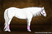 Horse Color:Silver Smoky Creme Dun Sabino 