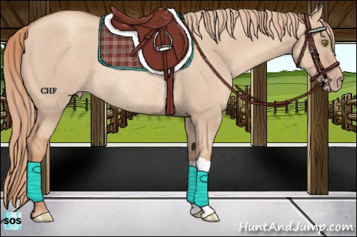 Horse Color:Gold Champagne Dun Rabicano 