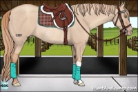 Horse Color:Gold Champagne Dun Rabicano 