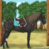 Horse Color:Liver Chestnut Rabicano