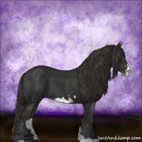 Horse Color:Liver Chestnut Frame 