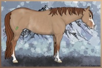 Horse Color:Red Dun Sabino Rabicano