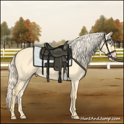 Horse Color:Gold Cream Champagne Dun 