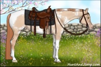 Horse Color:White Spotted Gold Champagne Dun Tobiano 