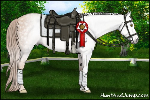 Horse Color:Gray Gold Champagne 