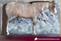 Horse Color:White Spotted Liver Red Roan 
