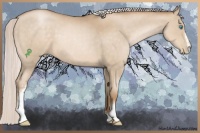 Horse Color:White Spotted Silver Smoky Black Pearl Sabino