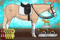 Horse Color:Gold Champagne Splash 