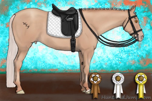 Horse Color:Silver Classic Champagne 