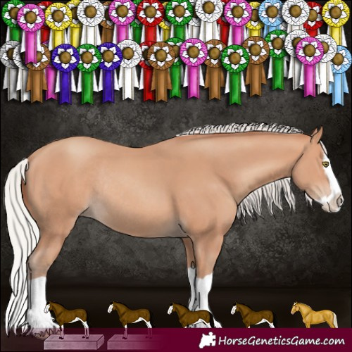 Horse Color:Silver Sable Champagne Splash Rabicano 