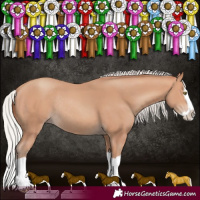 Horse Color:Silver Sable Champagne Splash Rabicano