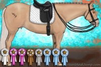 Horse Color:Silver Classic Champagne