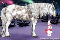 Horse Color:Chocolate Silver Black Ice Sabino 