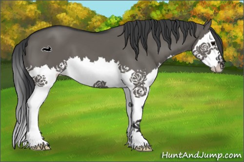Horse Color:Grullo Sabino Splash