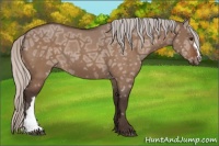 Horse Color:Silver Brown Ice Dun