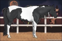 Horse Color:Black Tobiano 