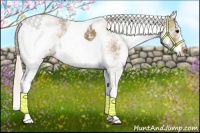 Horse Color:White Spotted Silver Smoky Black Ice 