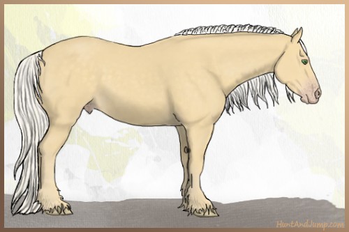 Horse Color:Silver Classic Cream Champagne 