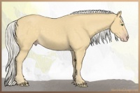 Horse Color:Silver Classic Cream Champagne 