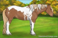 Horse Color:Chestnut Tobiano 