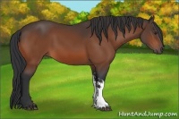 Horse Color:Brown 