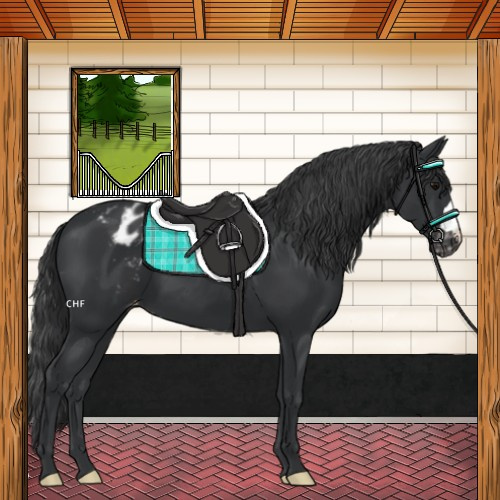Horse Color:Black Varnish 